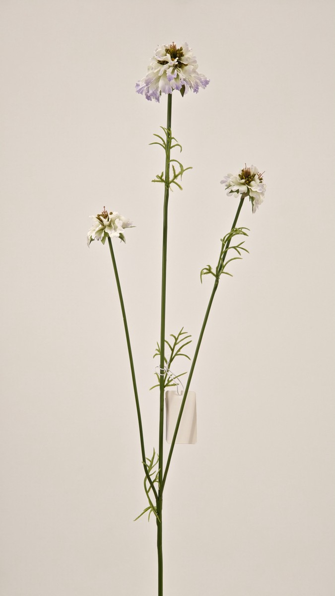 Скабиоза REN-235 сиреневый   Интернет-магазин Feron Flower 