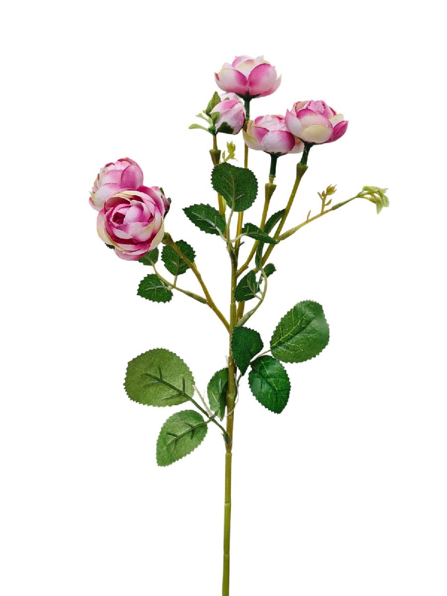 Камелия DY1-4525  Интернет-магазин Feron Flower 