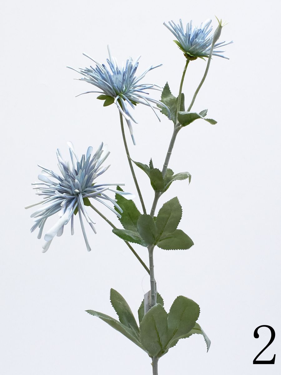 Хризантема KLM1058  Интернет-магазин Feron Flower 