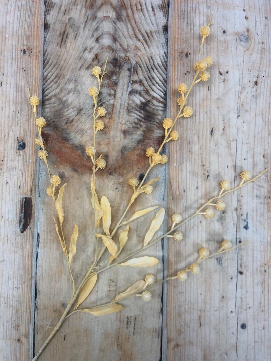 Зелень 9KW8158  Интернет-магазин Feron Flower 