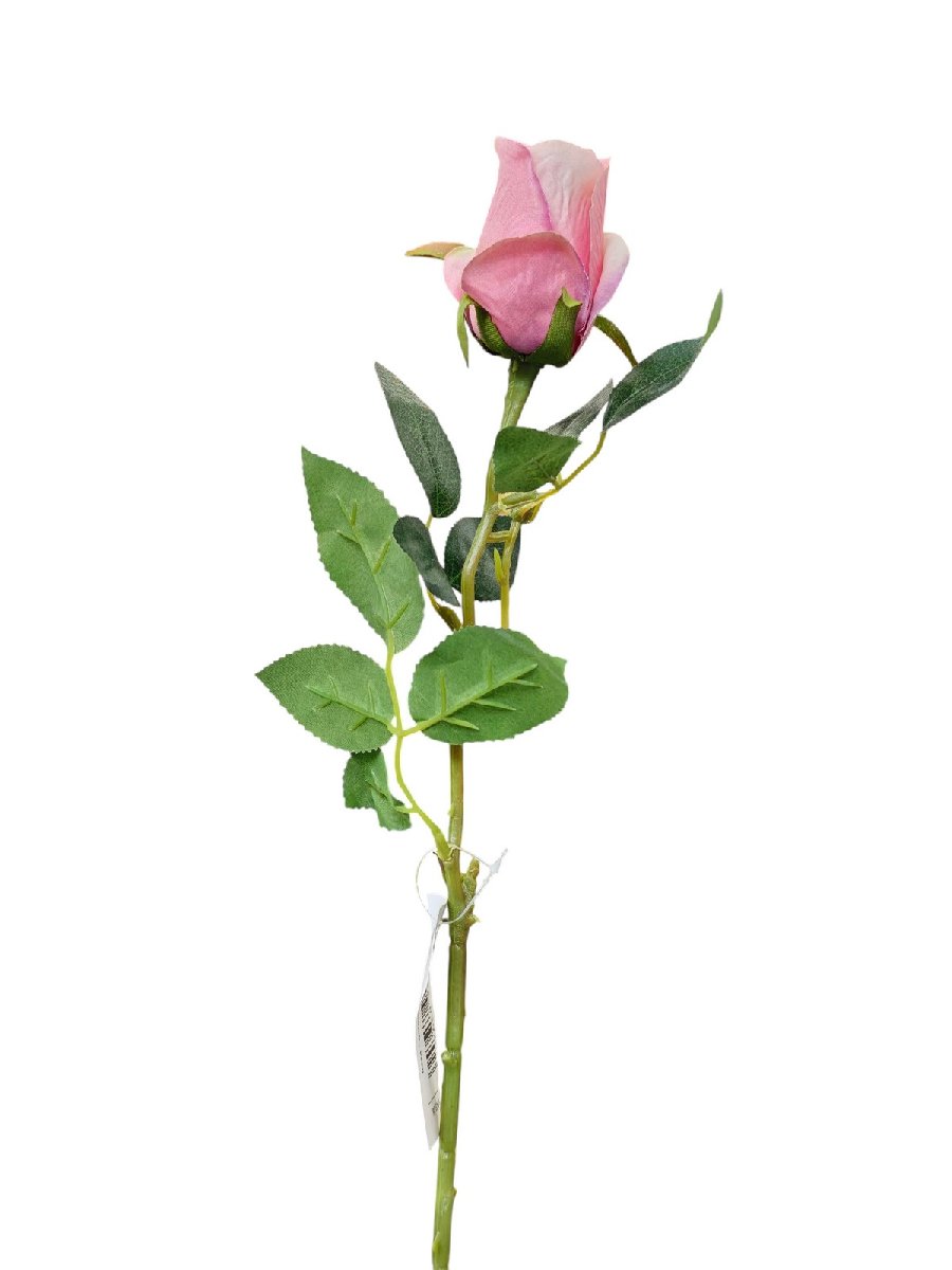 Роза K343  Интернет-магазин Feron Flower 