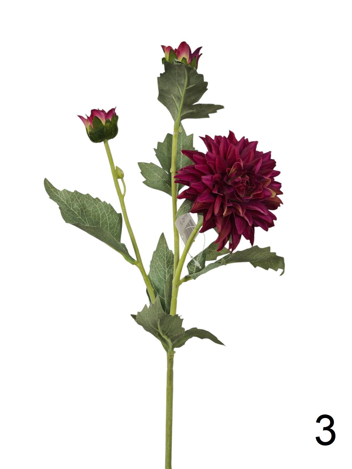 Георгин FL-QH119  Интернет-магазин Feron Flower 