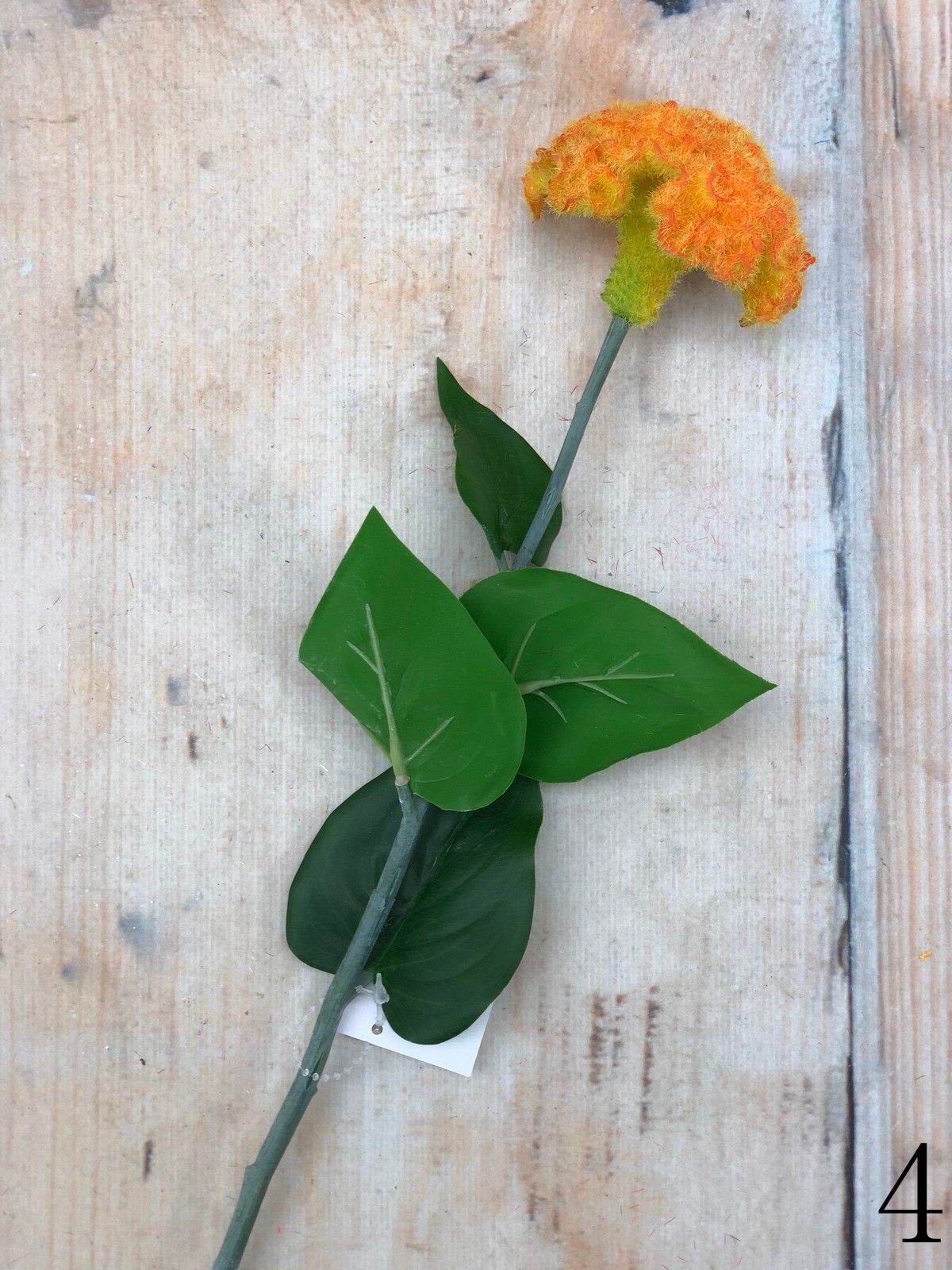 Целозия K03956  Интернет-магазин Feron Flower 