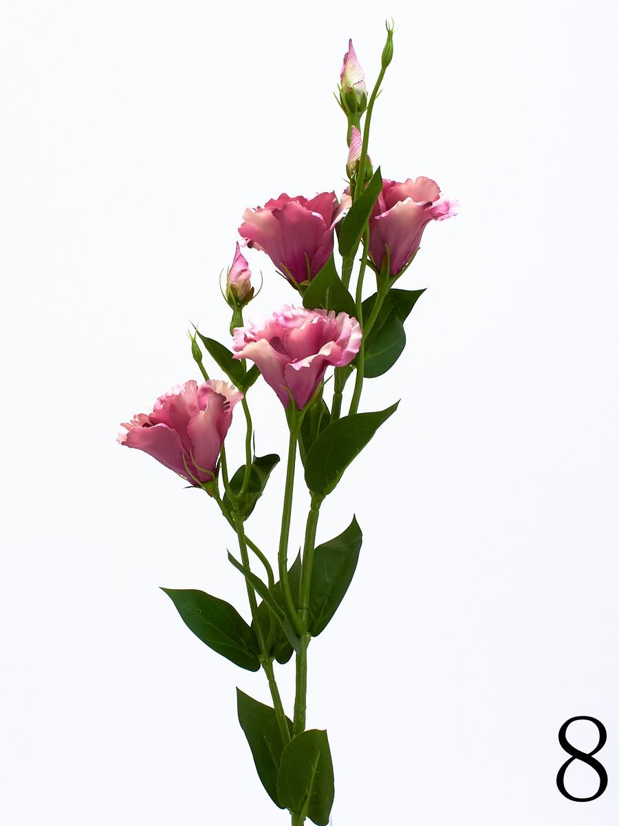 Эустома SUN345  Интернет-магазин Feron Flower 