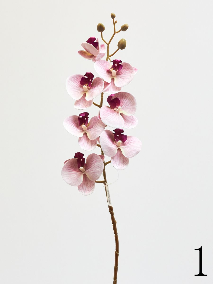 Орхидея 210157  Интернет-магазин Feron Flower 