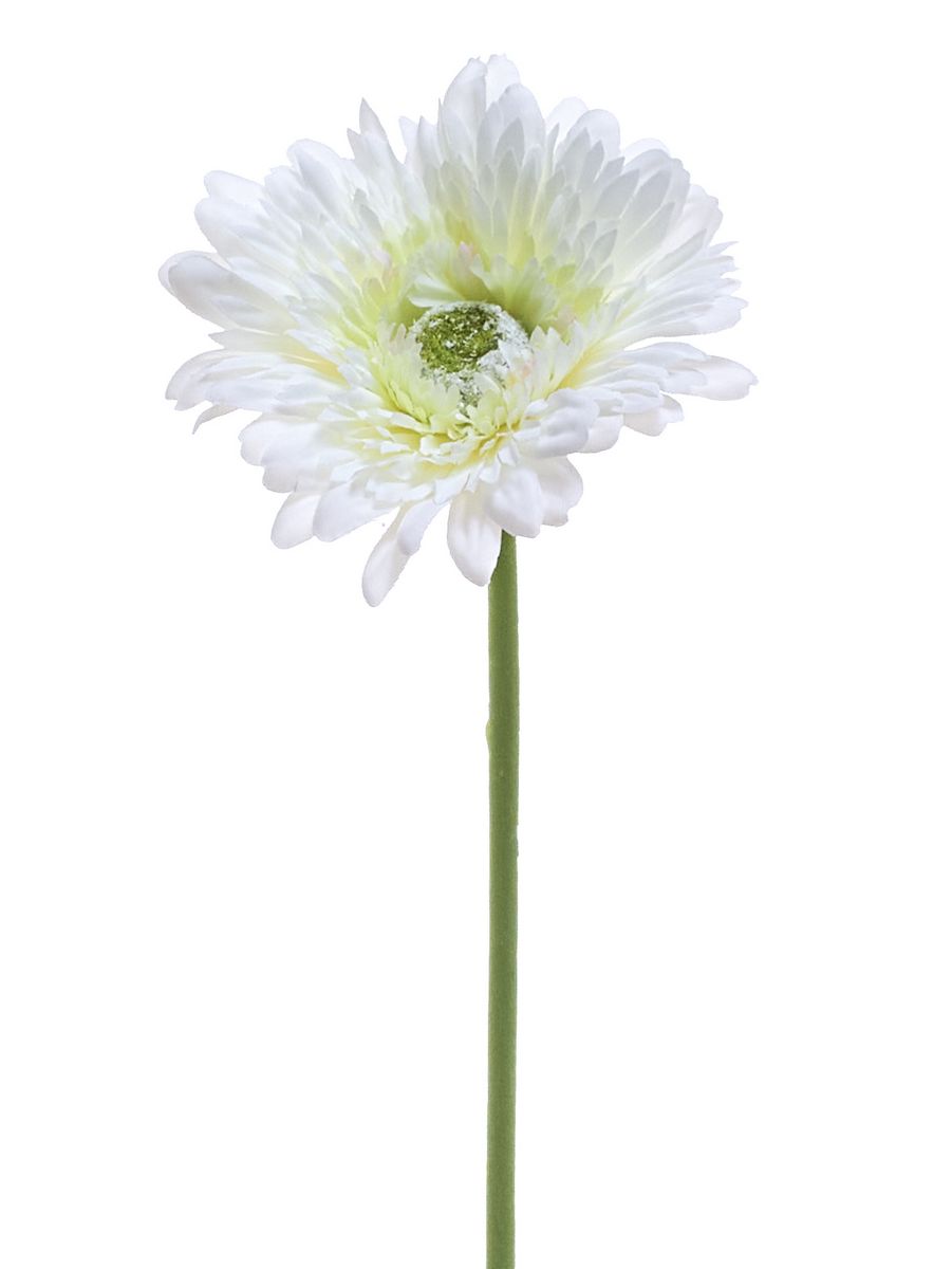 Гербера SUN348  Интернет-магазин Feron Flower 