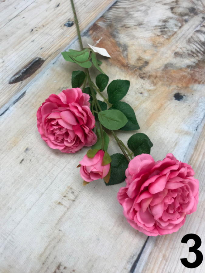 Роза YJ001  Интернет-магазин Feron Flower 