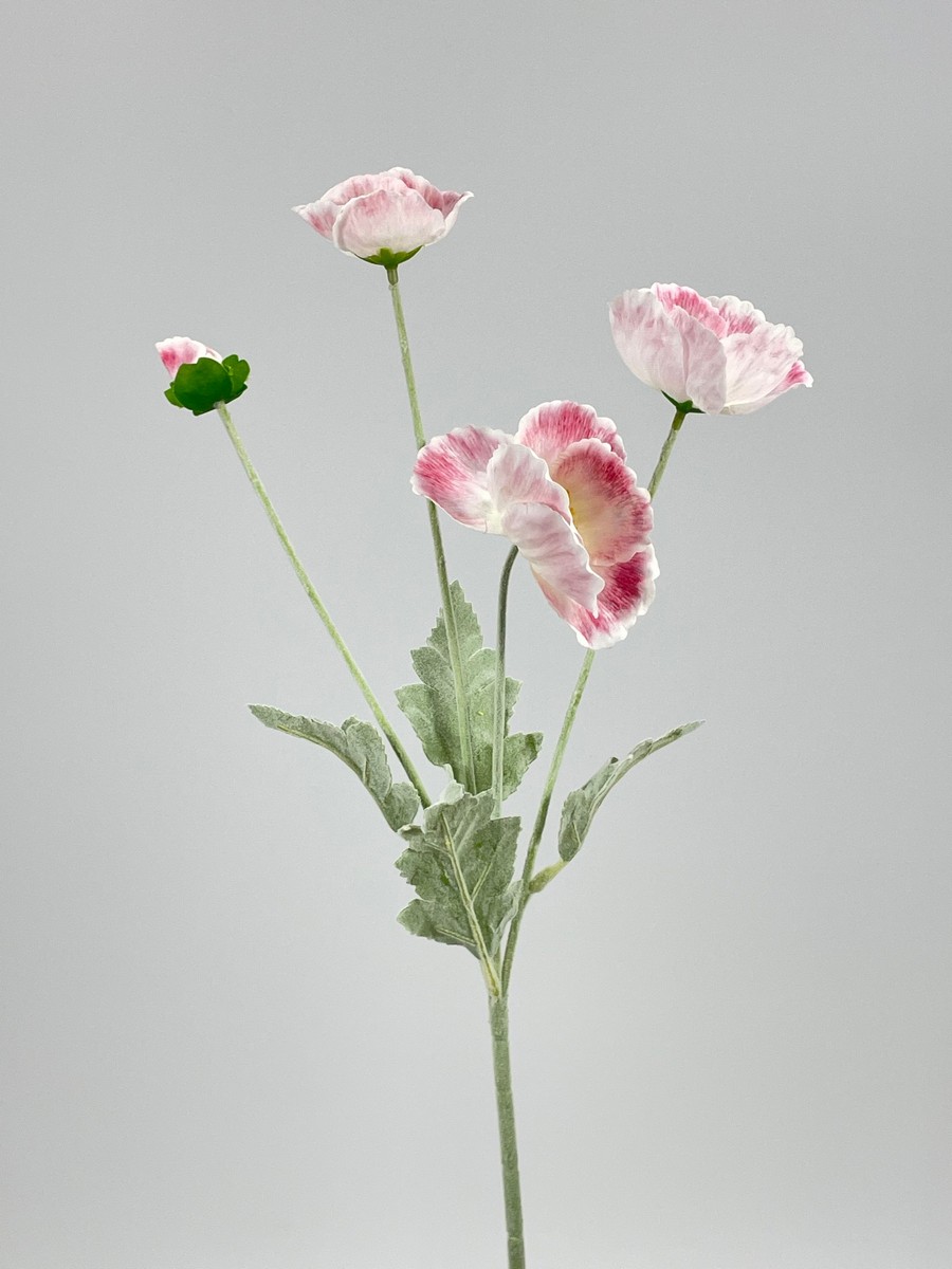 Мак PIO-115  Интернет-магазин Feron Flower 