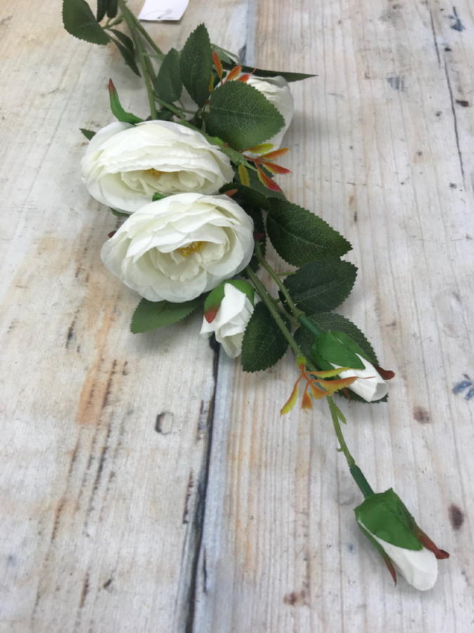Роза K03885  Интернет-магазин Feron Flower 