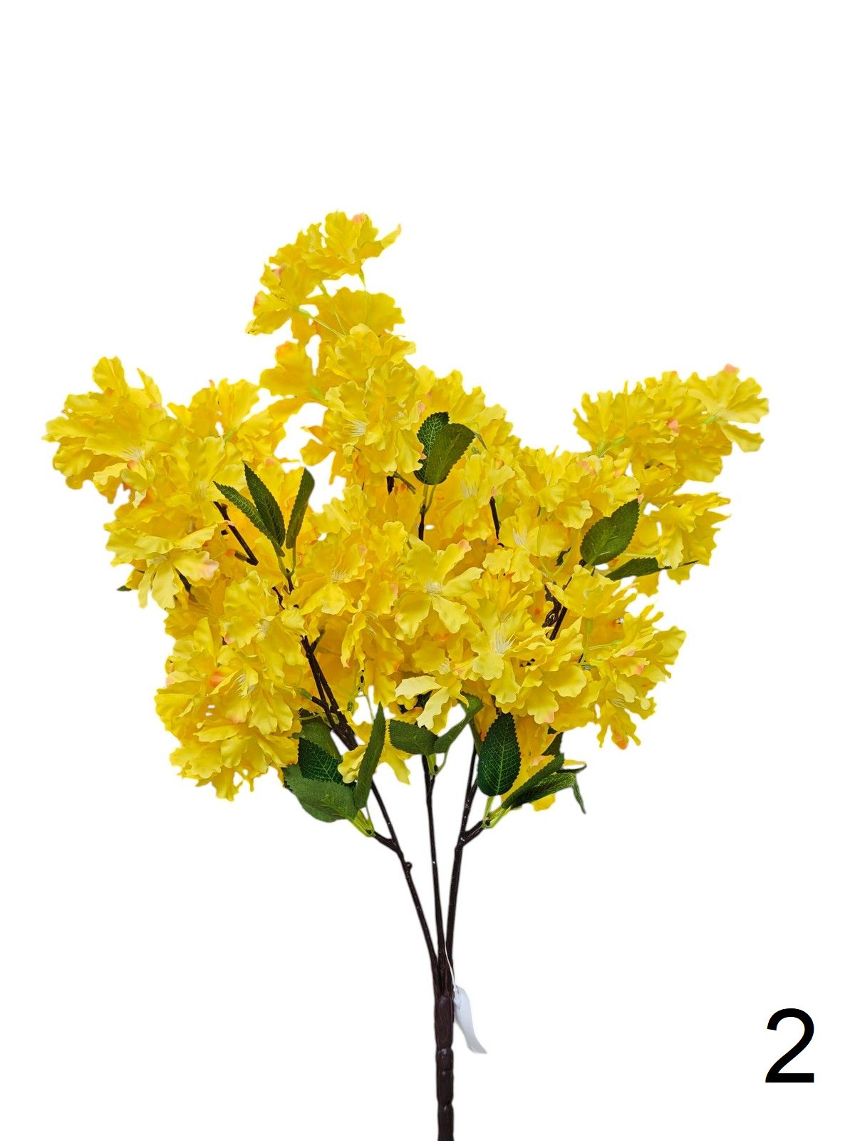 Яблонь 0016-1293  Интернет-магазин Feron Flower 