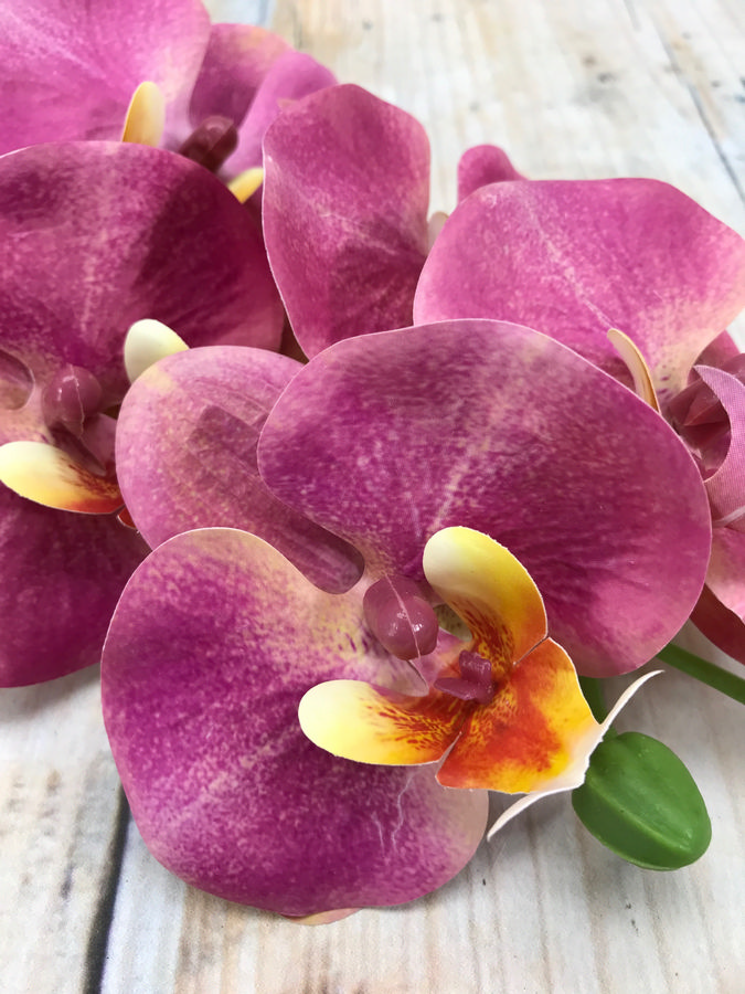 Орхидея GK186  Интернет-магазин Feron Flower 