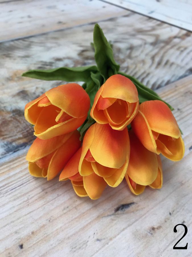 Тюльпан 81CAN056  Интернет-магазин Feron Flower 