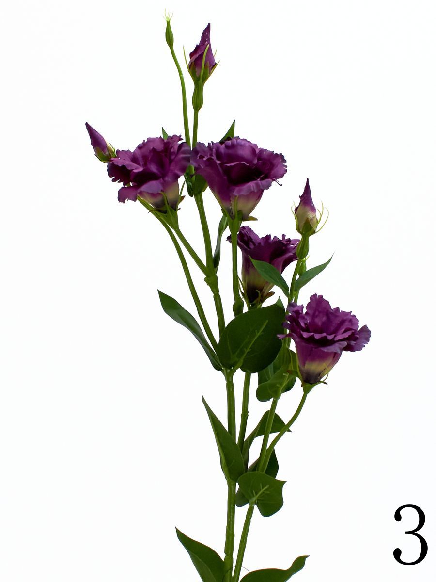 Эустома SUN345  Интернет-магазин Feron Flower 