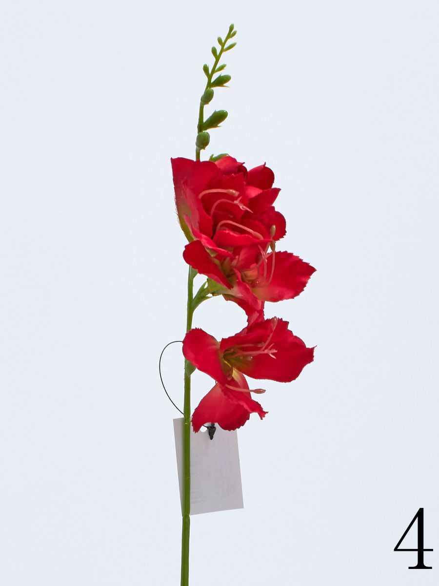 Фрезия SUN677  Интернет-магазин Feron Flower 