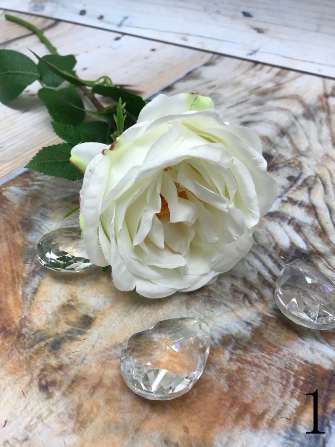 Роза SUN520  Интернет-магазин Feron Flower 