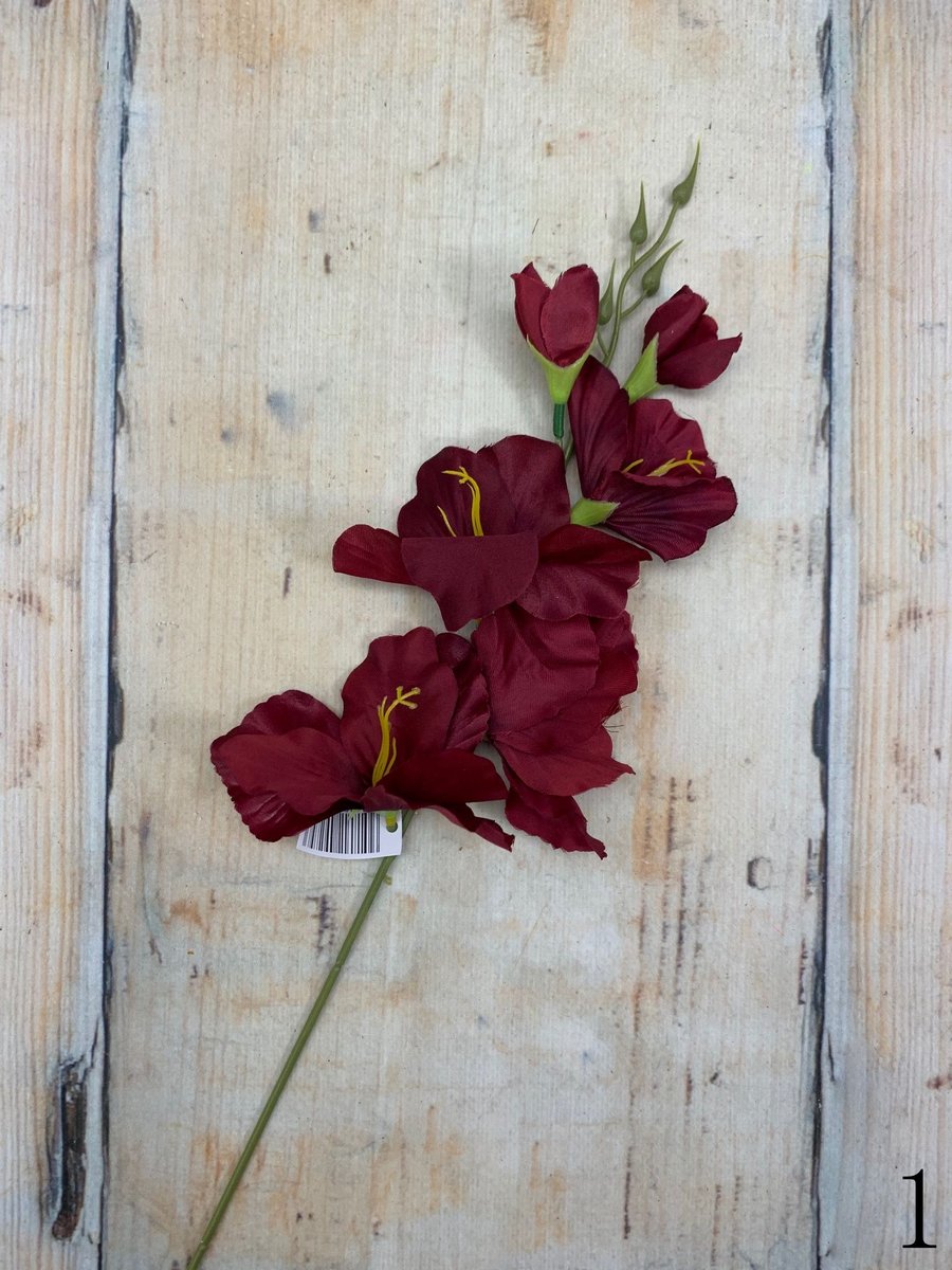 Гладиолус 2630  Интернет-магазин Feron Flower 