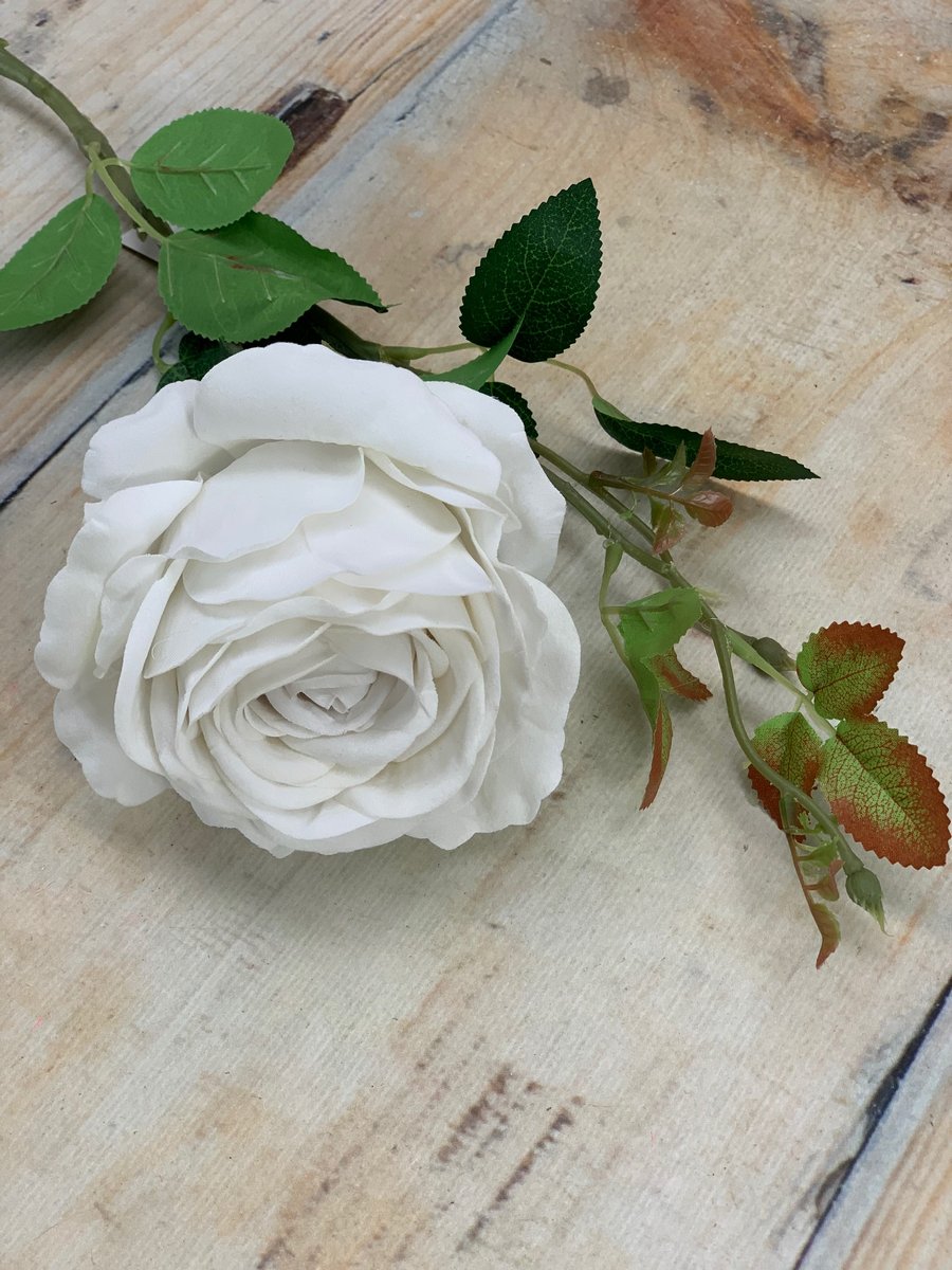 Роза ART221  Интернет-магазин Feron Flower 