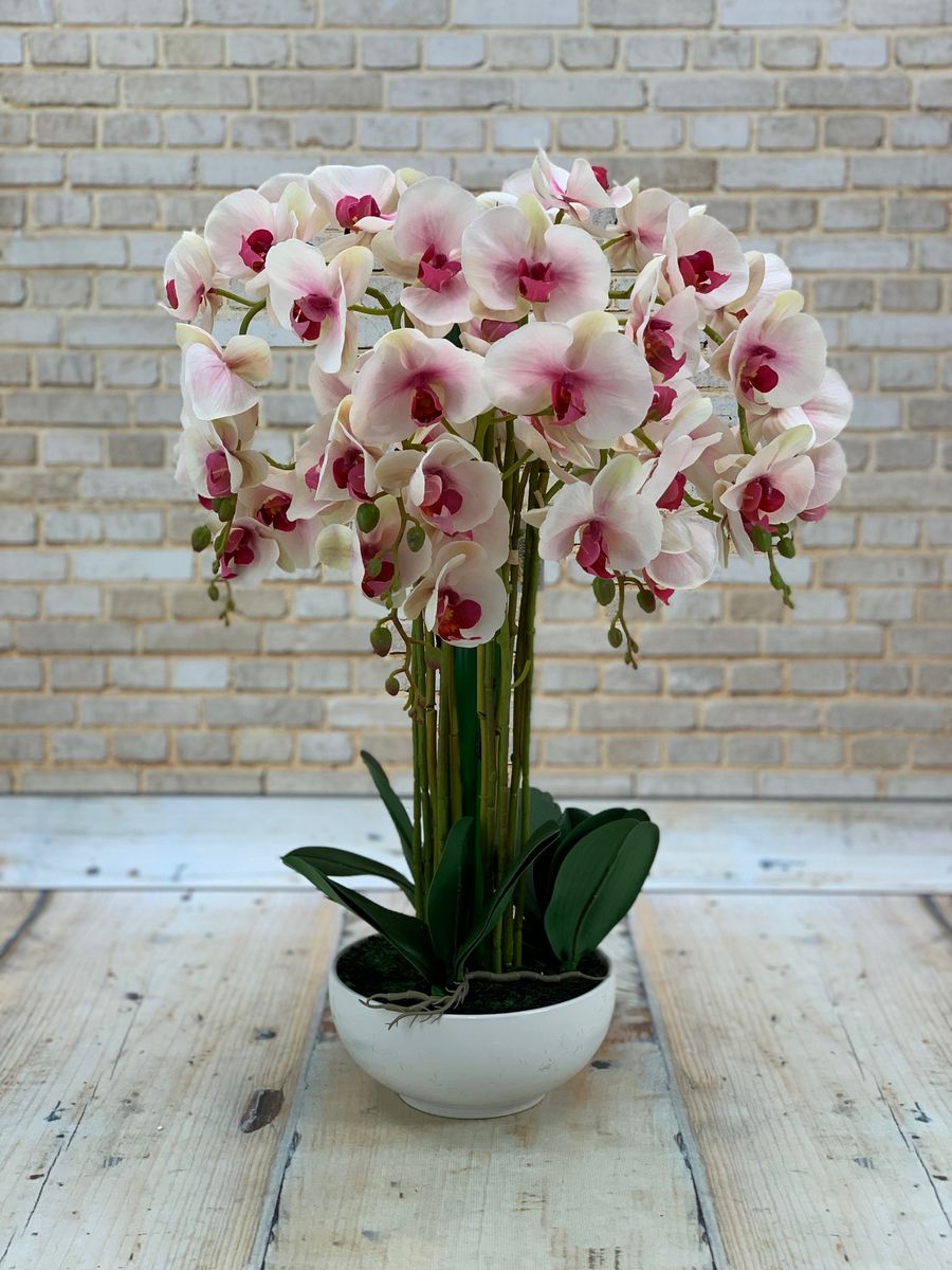 Орхидея в горшке WE0410  Интернет-магазин Feron Flower 