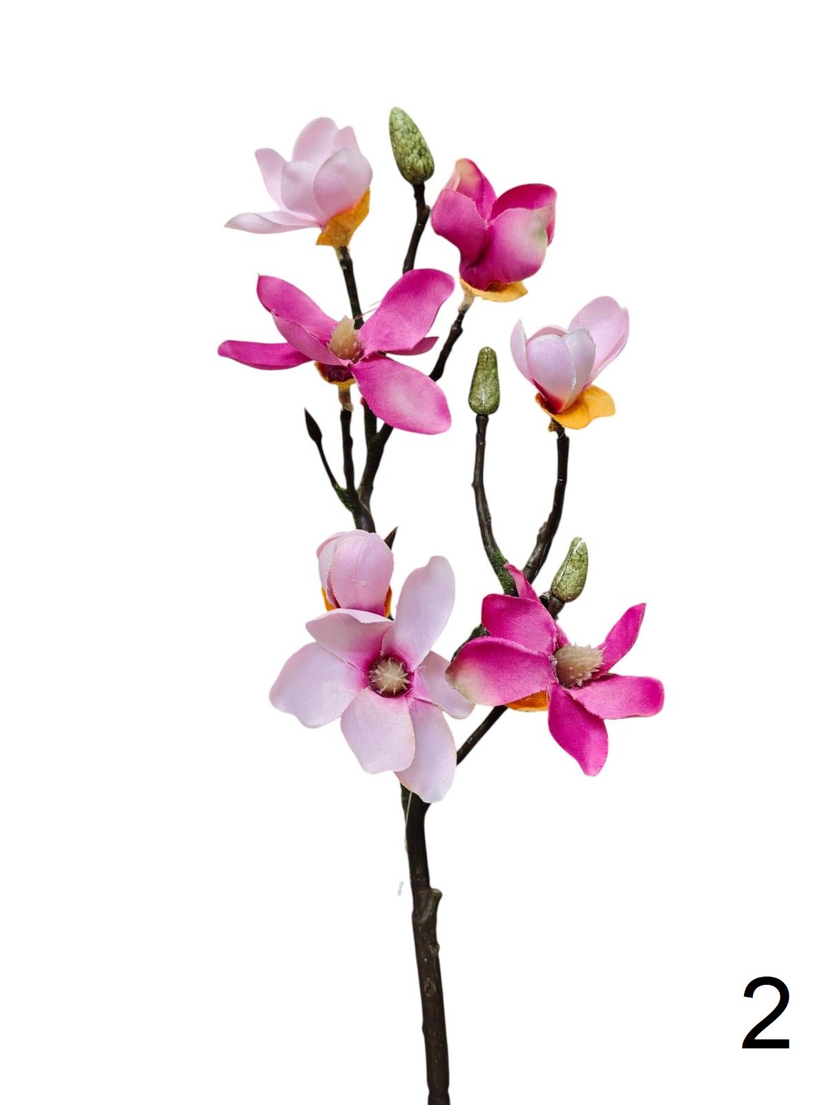 Магнолия 133122  Интернет-магазин Feron Flower 