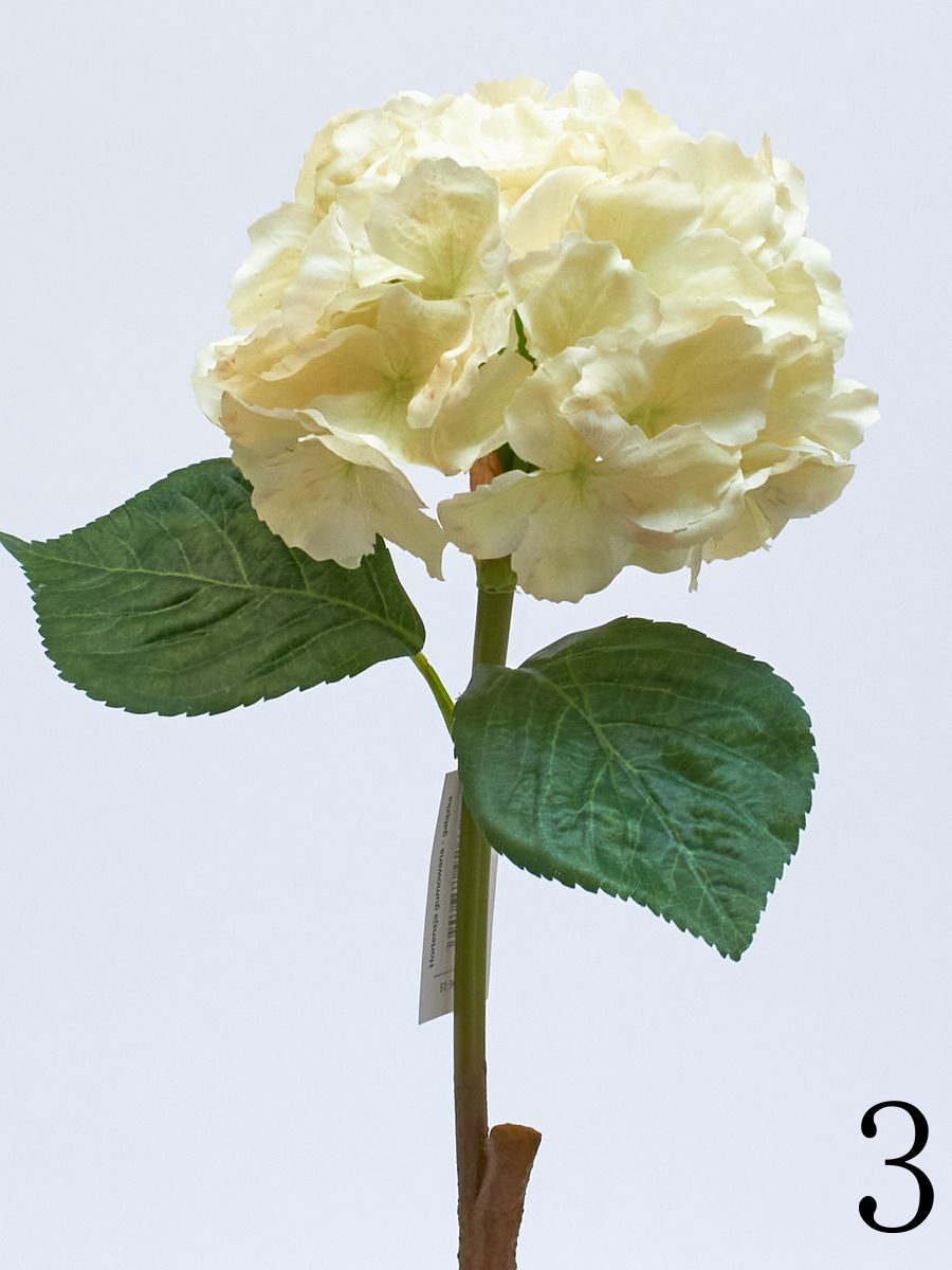 Гортензия latex GK096  Интернет-магазин Feron Flower 