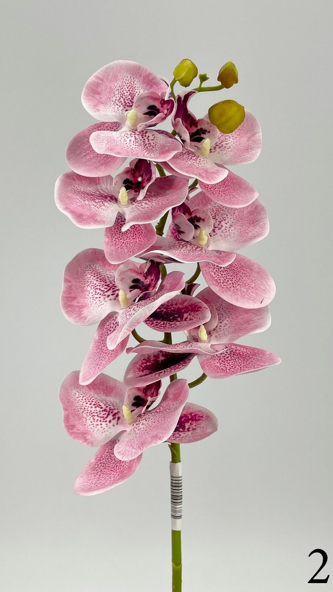 Орхидея 373729  Интернет-магазин Feron Flower 