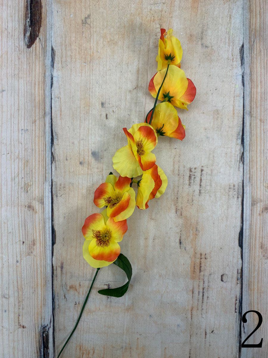 Фиалка K023E  Интернет-магазин Feron Flower 