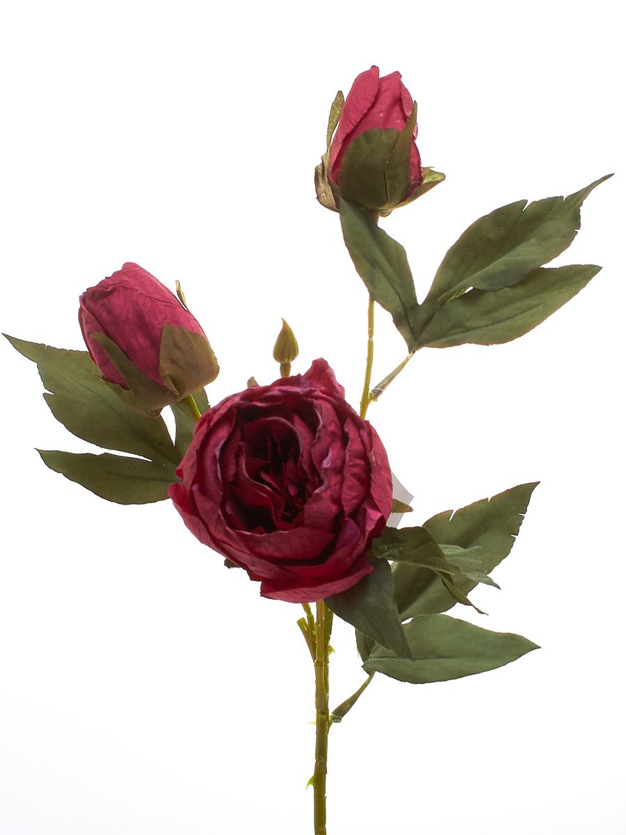 Роза K04133   Интернет-магазин Feron Flower 