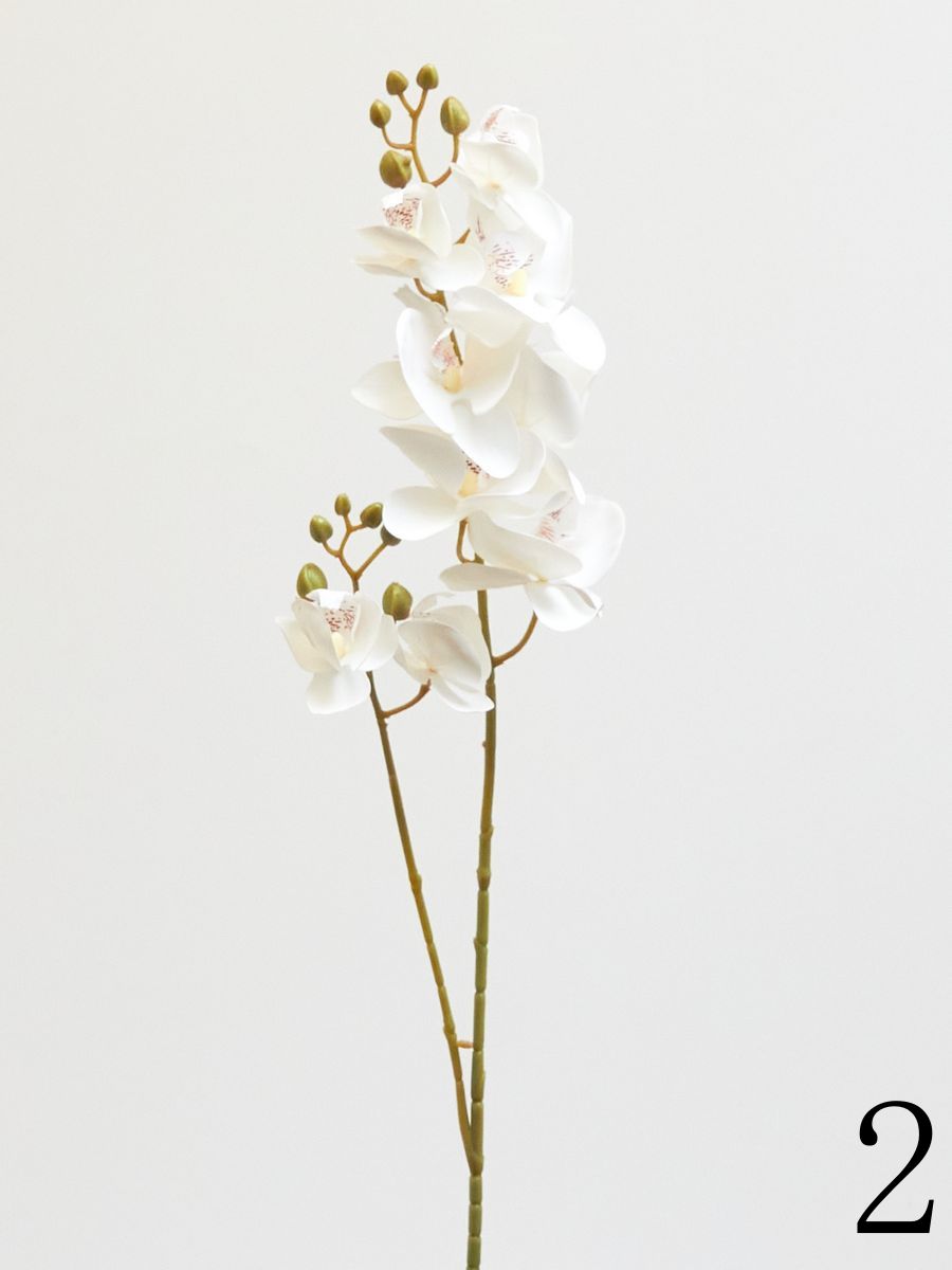 Орхидея 210153  Интернет-магазин Feron Flower 