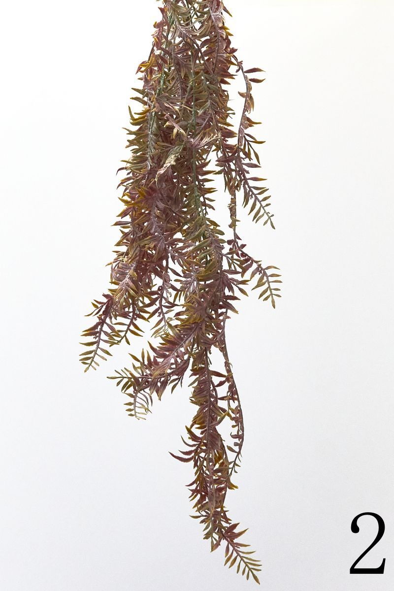 Плющ 20HHHTT007  Интернет-магазин Feron Flower 