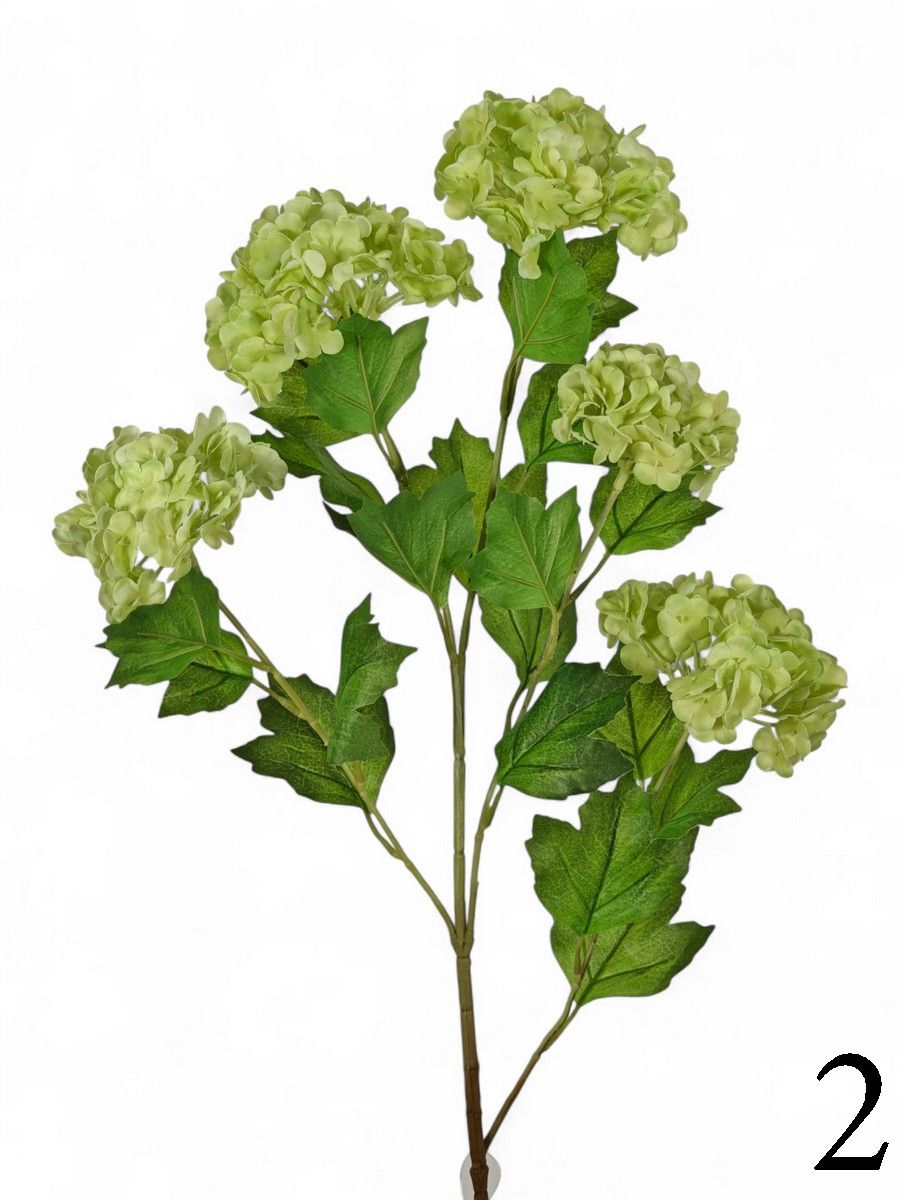 Вибурнум FL-QH001   Интернет-магазин Feron Flower 