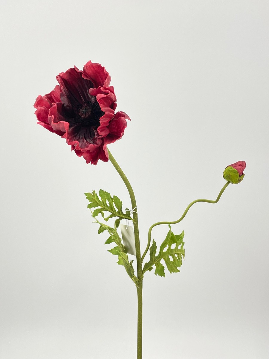 Мак REN-210 красный  Интернет-магазин Feron Flower 