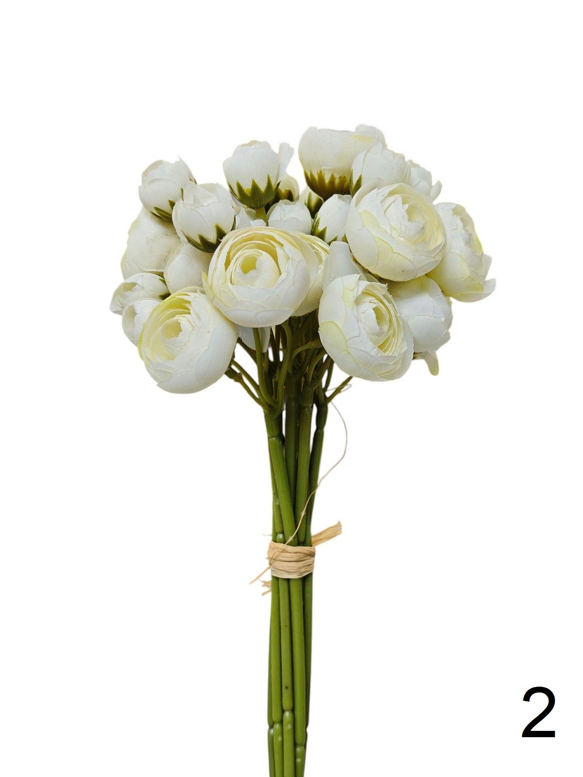 Ранункул бук TNK04  Интернет-магазин Feron Flower 