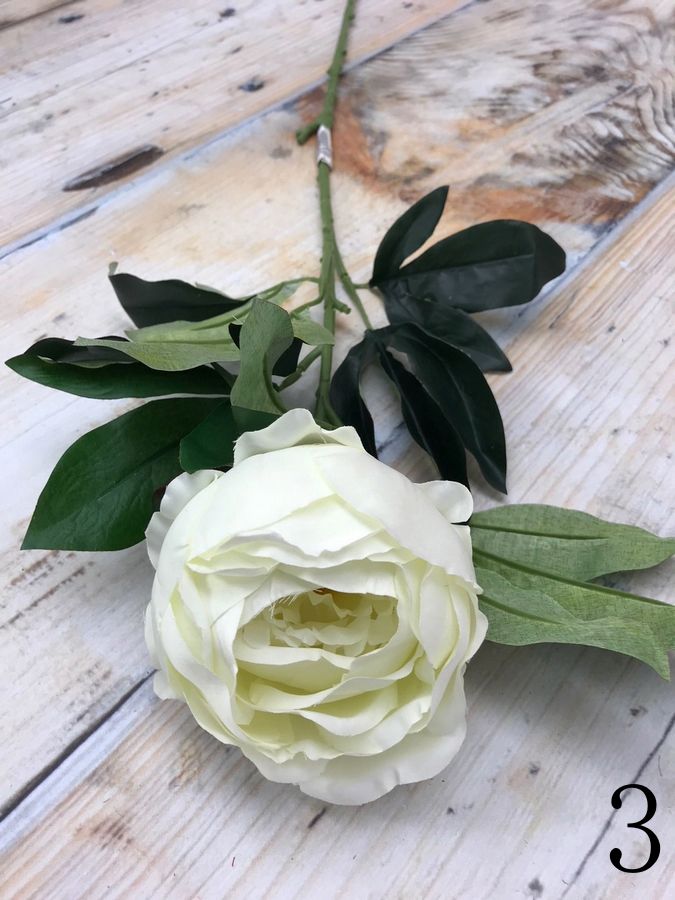 Пион K476  Интернет-магазин Feron Flower 