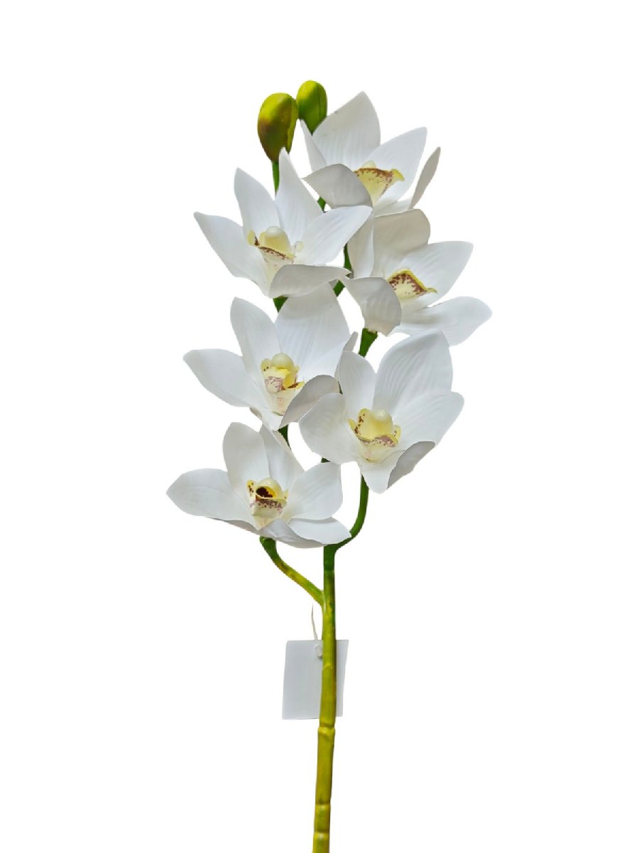 Орхидея GL03348  Интернет-магазин Feron Flower 