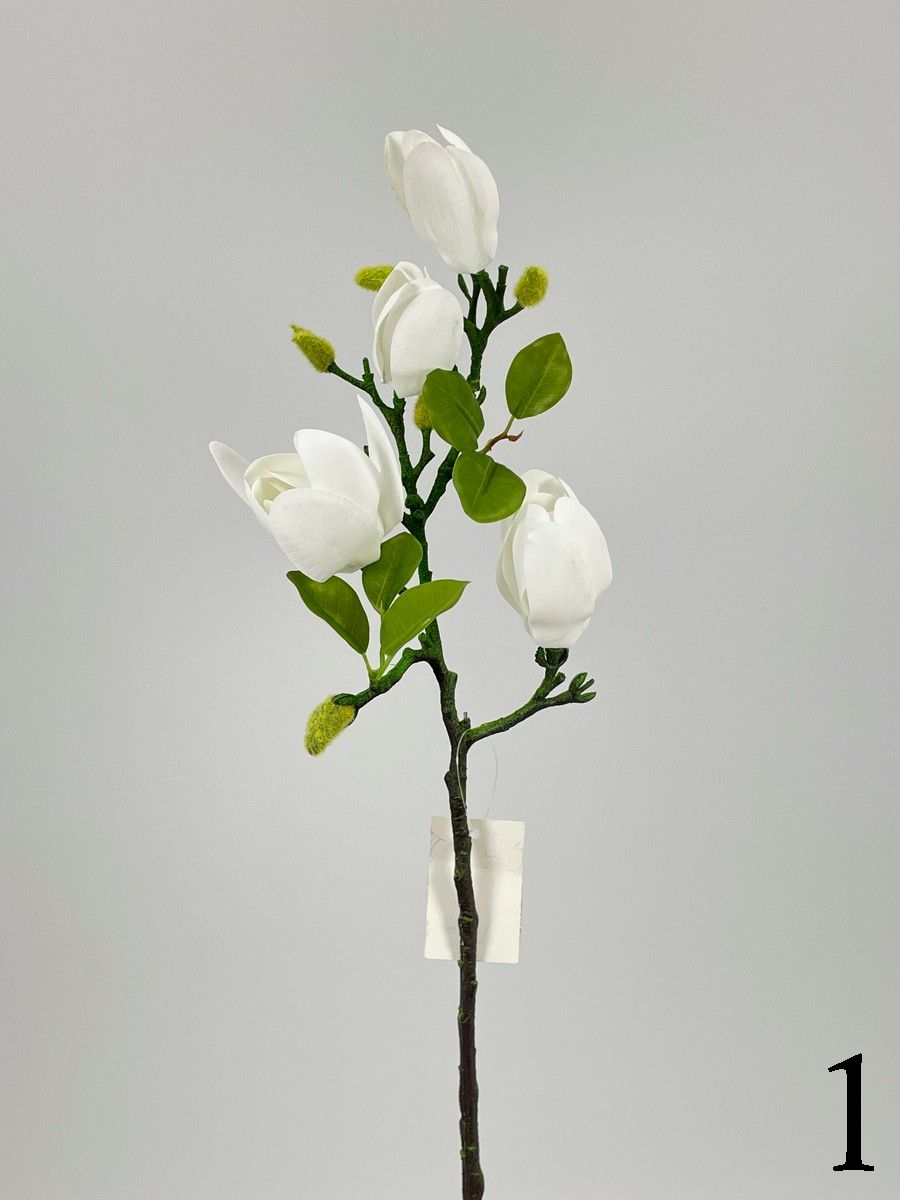 Магнолия PIO-106  Интернет-магазин Feron Flower 