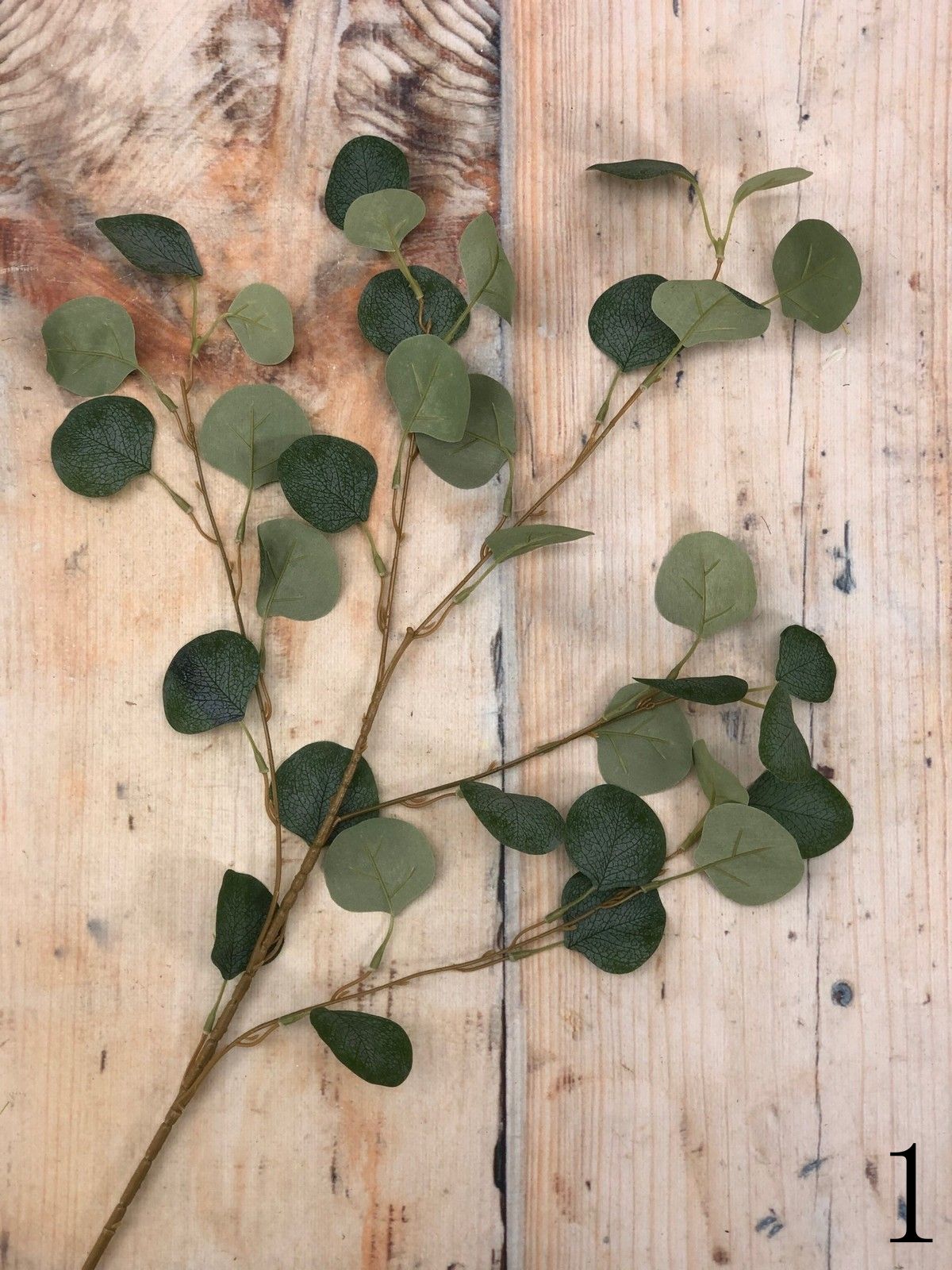 Эвкалипт GL03361  Интернет-магазин Feron Flower 