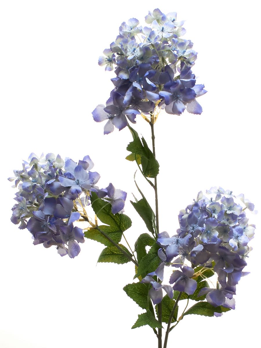 Гортензия 60313  Интернет-магазин Feron Flower 