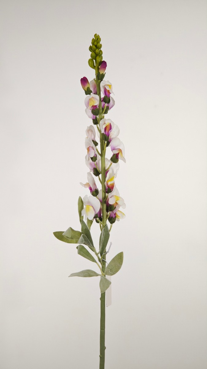 Львинный зев REN-237 розовый   Интернет-магазин Feron Flower 