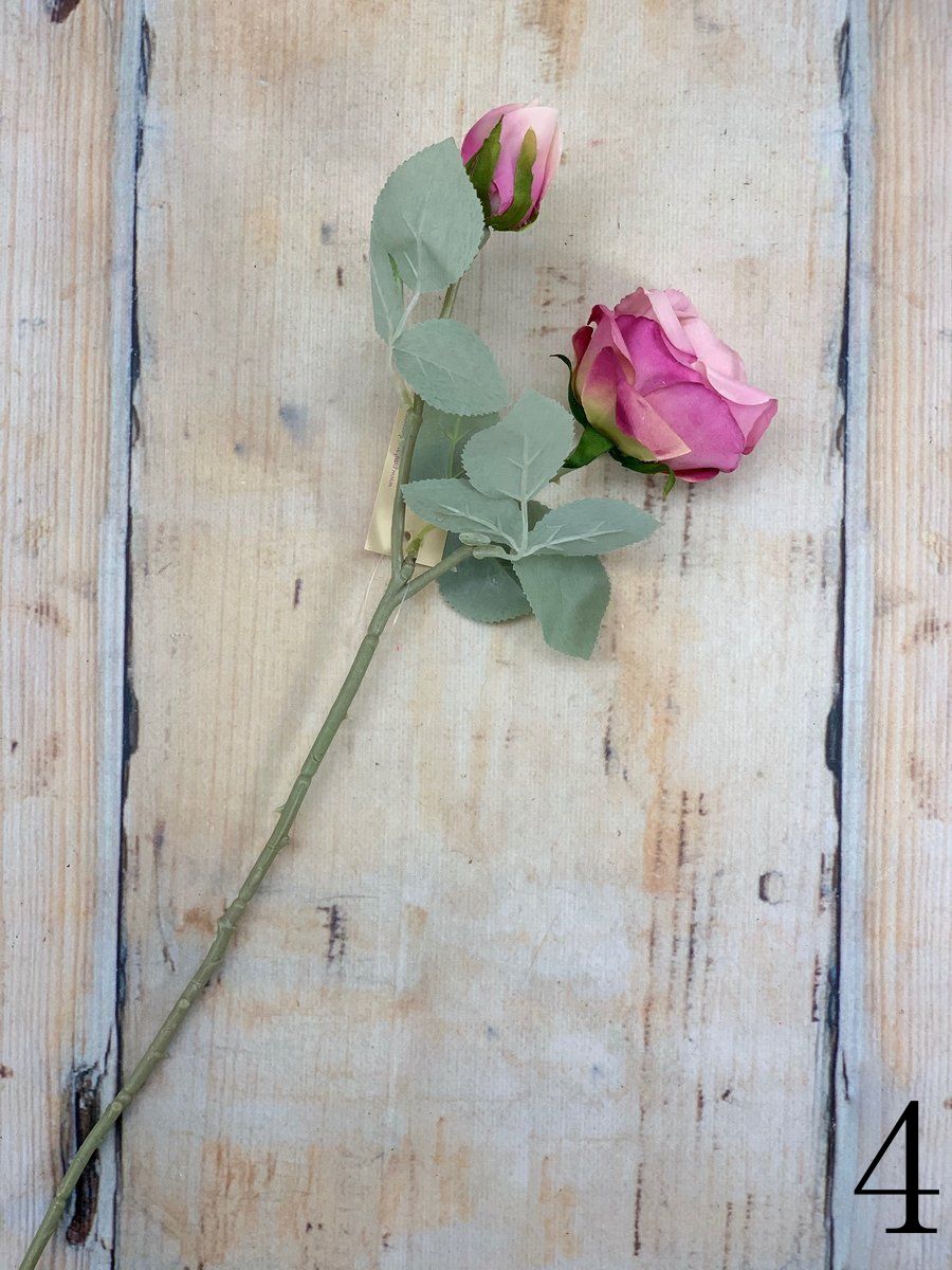 Роза 20KL767  Интернет-магазин Feron Flower 