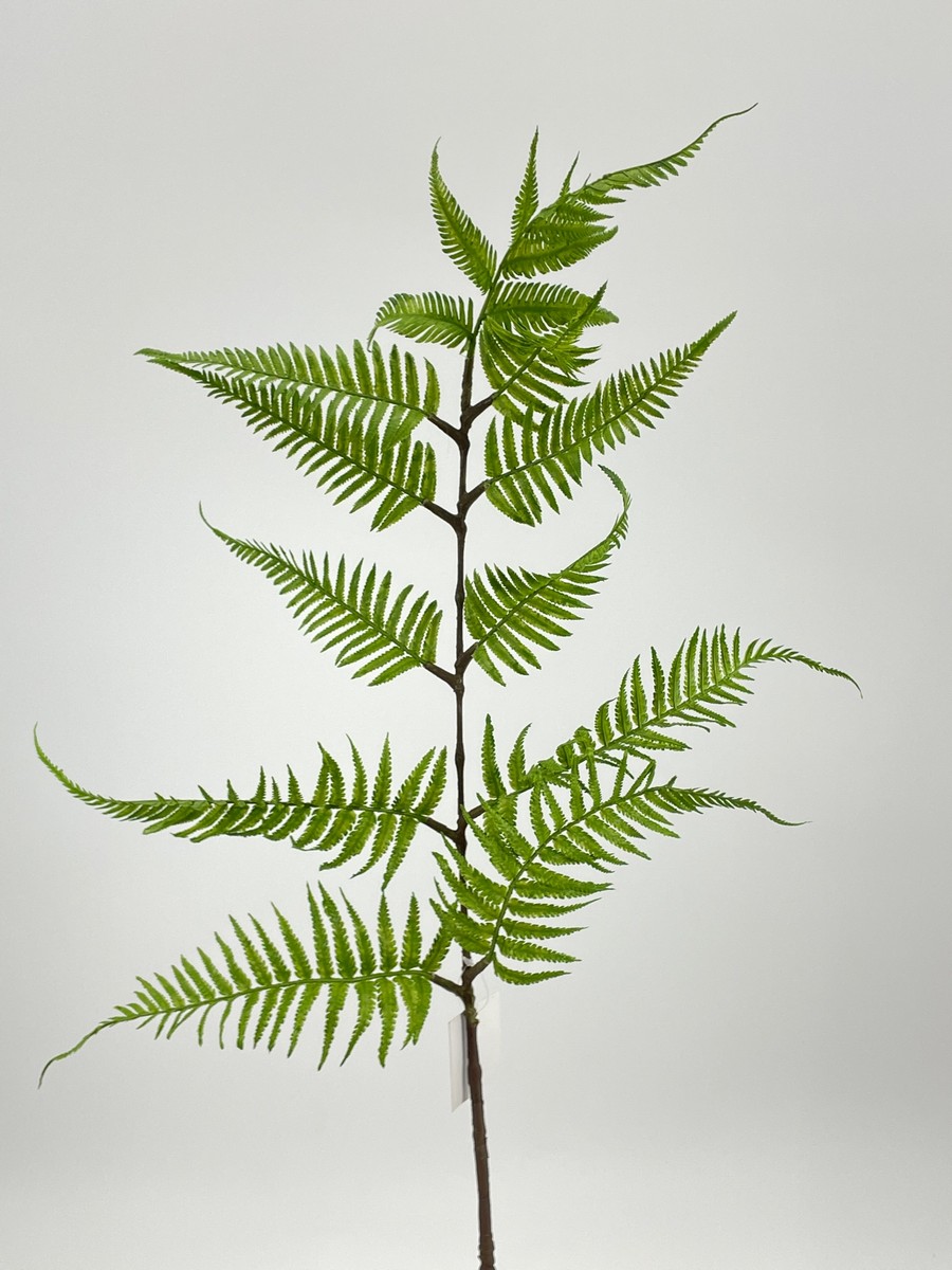 Папоротник GVC-2810  Интернет-магазин Feron Flower 