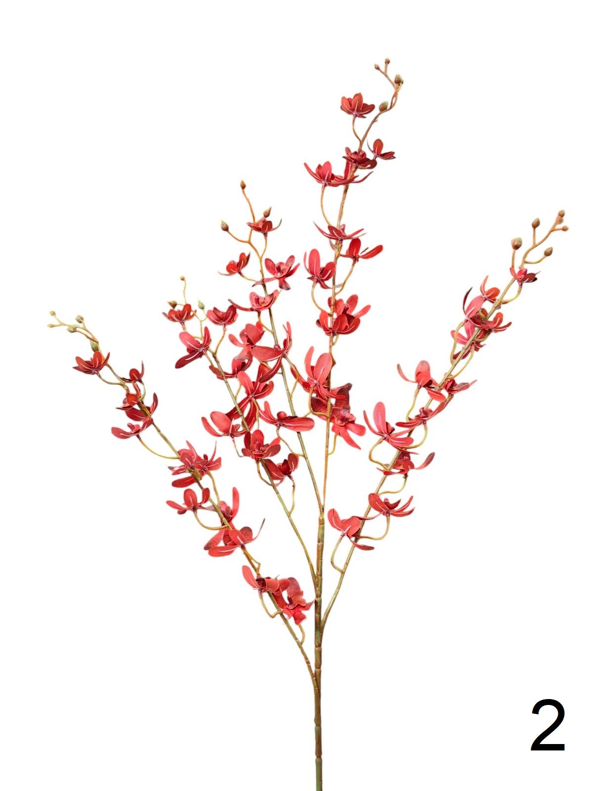 Орхидея  9144-1340  Интернет-магазин Feron Flower 