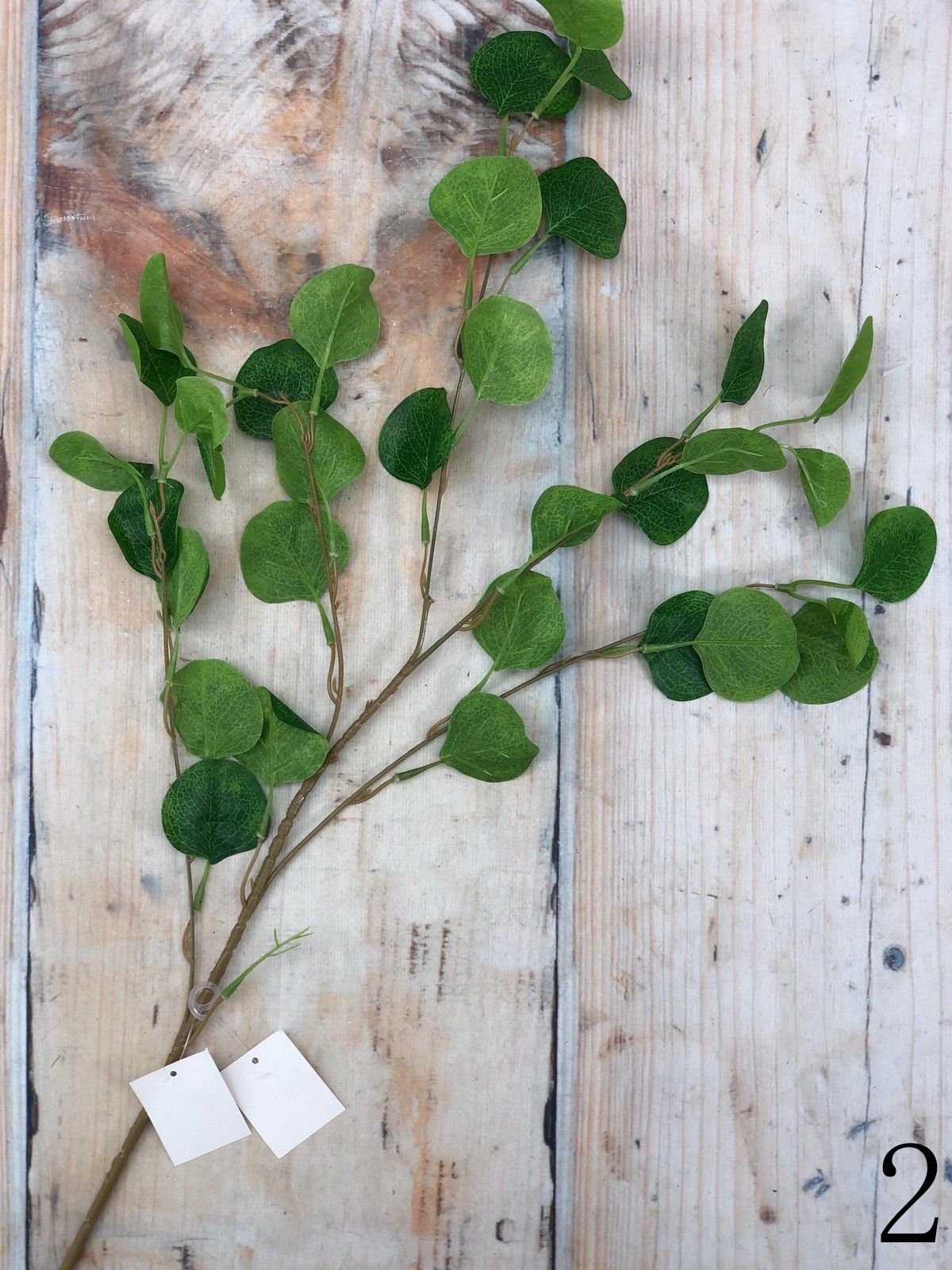 Эвкалипт GL03361  Интернет-магазин Feron Flower 