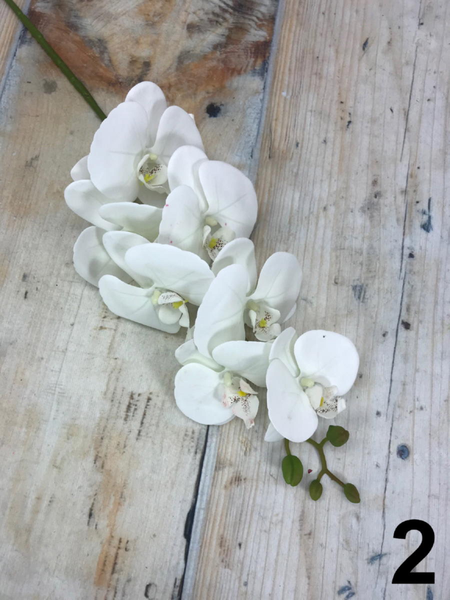 Орхидея ZB019  Интернет-магазин Feron Flower 