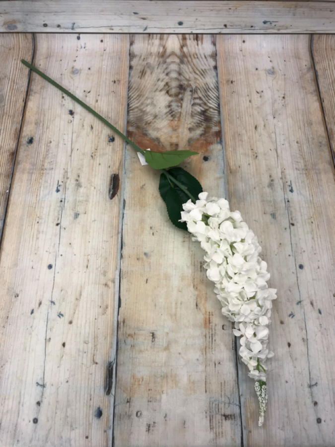Дельфиниум K03880  Интернет-магазин Feron Flower 