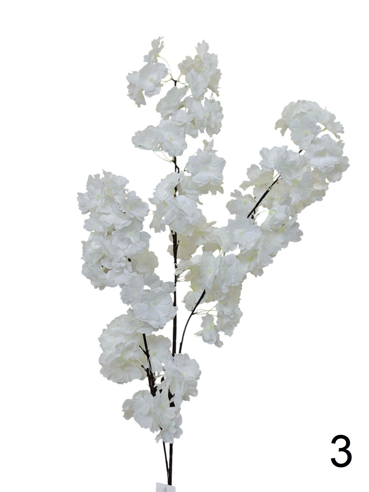 Яблонь FL-QH086  Интернет-магазин Feron Flower 