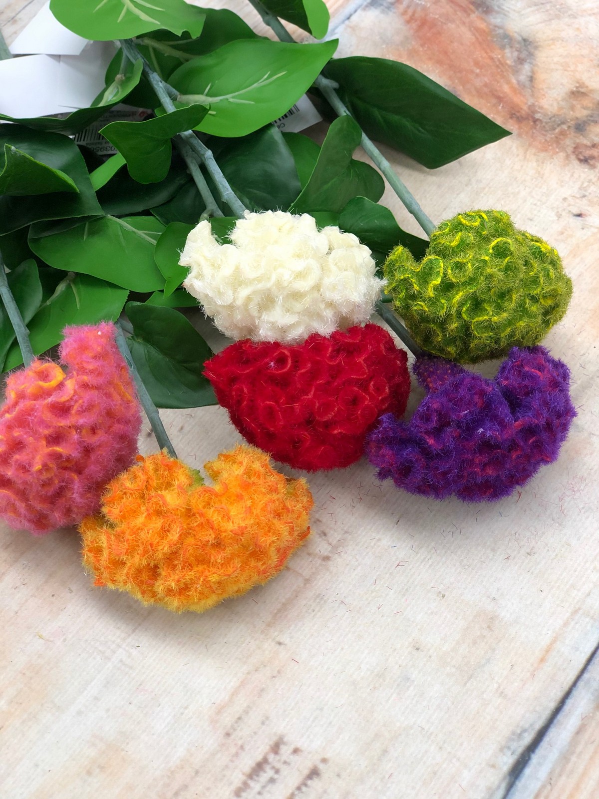 Целозия K03956  Интернет-магазин Feron Flower 