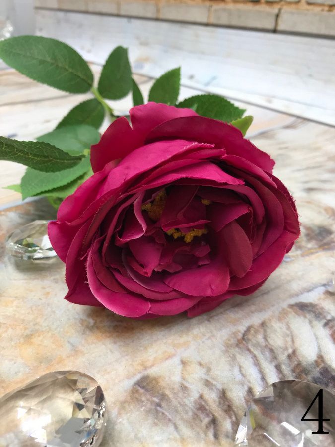 Роза SUN520  Интернет-магазин Feron Flower 