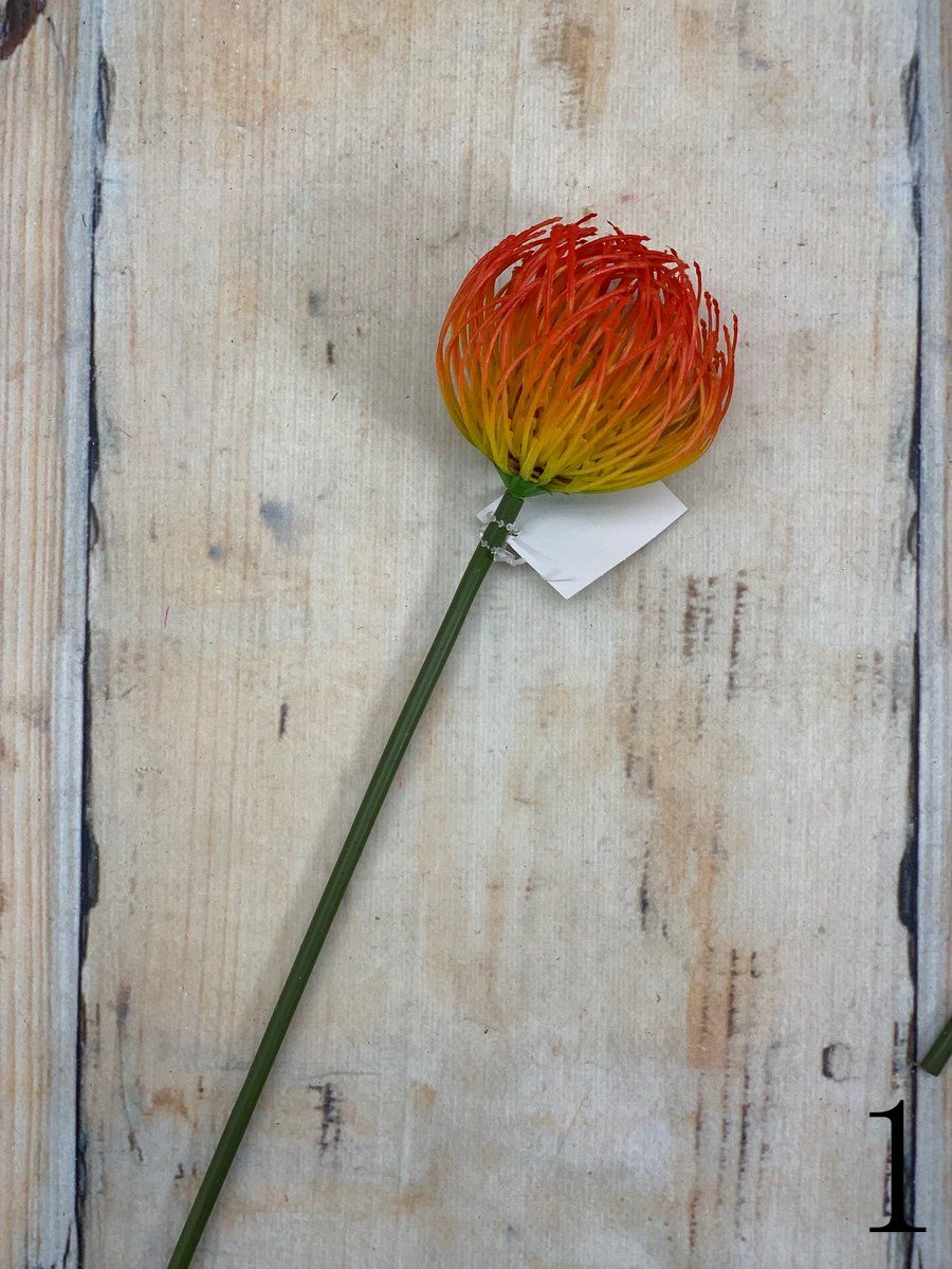 Леукоспермум ART16023  Интернет-магазин Feron Flower 