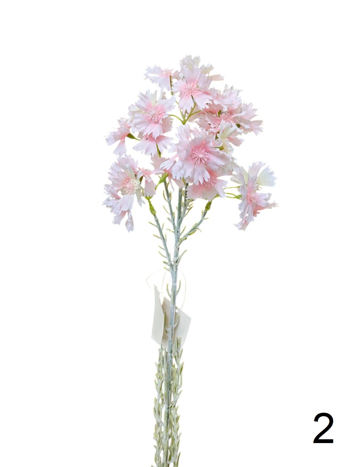 Гвоздика K04078  Интернет-магазин Feron Flower 
