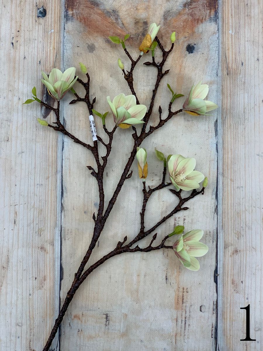 Магнолия GK912  Интернет-магазин Feron Flower 